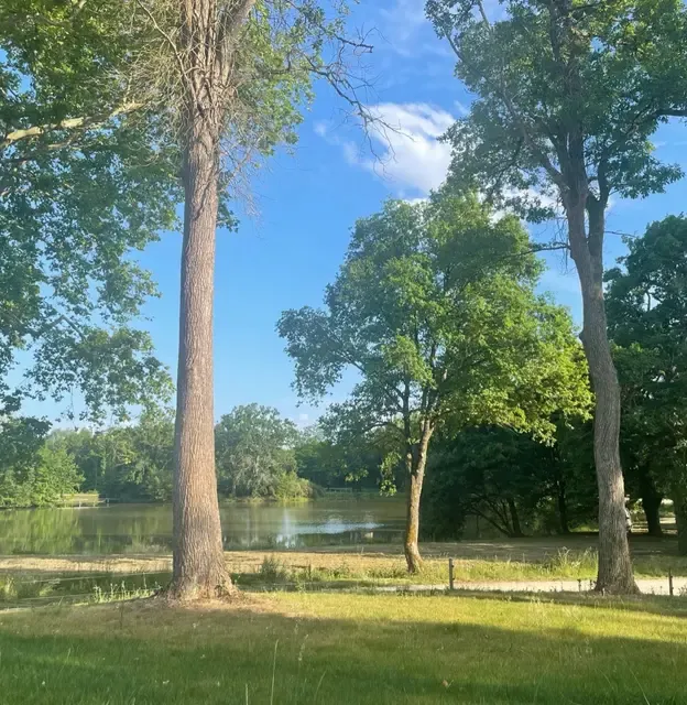 Un hectare de nature pour avec étang et bois pour la pêche et la chasse à Pierrefite sur Sauldre - Loir et Cher