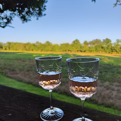 Organisation de réceptions et cocktails à Pierrefitte-sur-Sauldre (41)