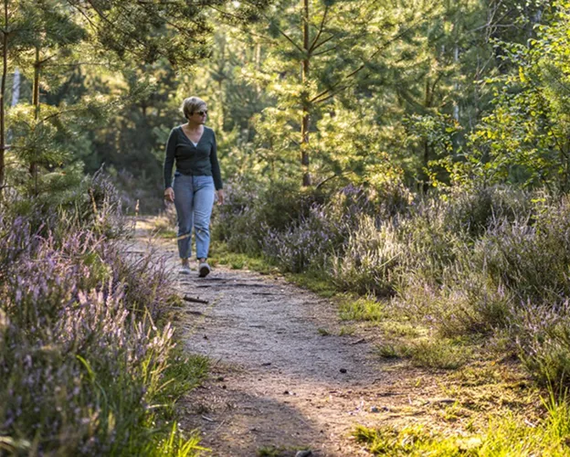 Balades et randonnées à travers les forêts et étangs solognots, en empruntant des sentiers comme le GR 3C dans le Loir et Cher (41)