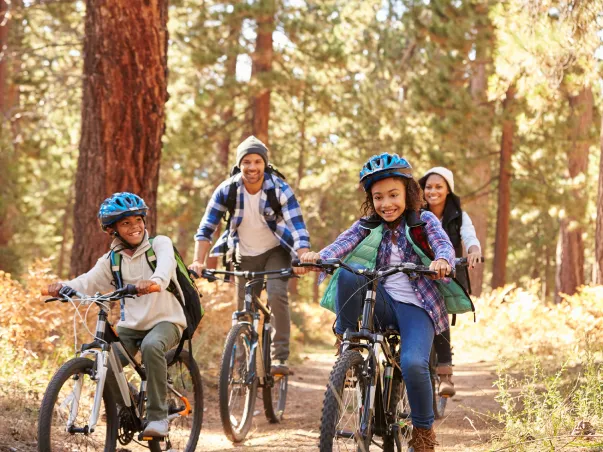Parcourez les circuits cylistes balisés afin de découvrir la Sologne (41)