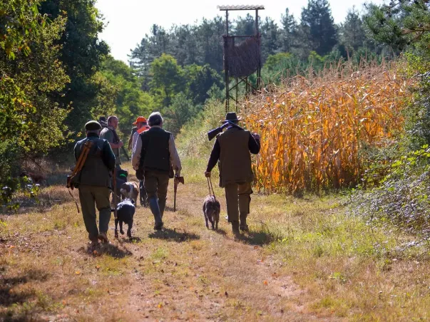 Domaine privée avec parties de chasse de petits gibiers à Pierrefite sur Sauldre proche de Salbris (41)