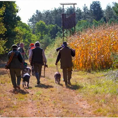 Organisation de partie de chasse au petit gibier à Pierrefite sur Sauldre (41)